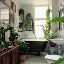 Какие растения выбрать для ванной комнаты?-0