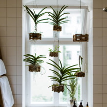 Какие растения выбрать для ванной комнаты?-4