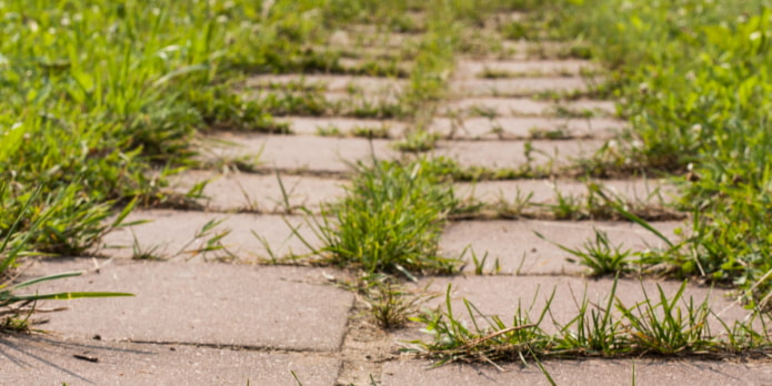 Как убрать траву между тротуарной плиткой?