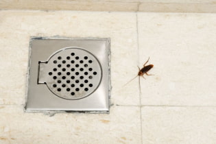Как избавиться от насекомых в ванной?